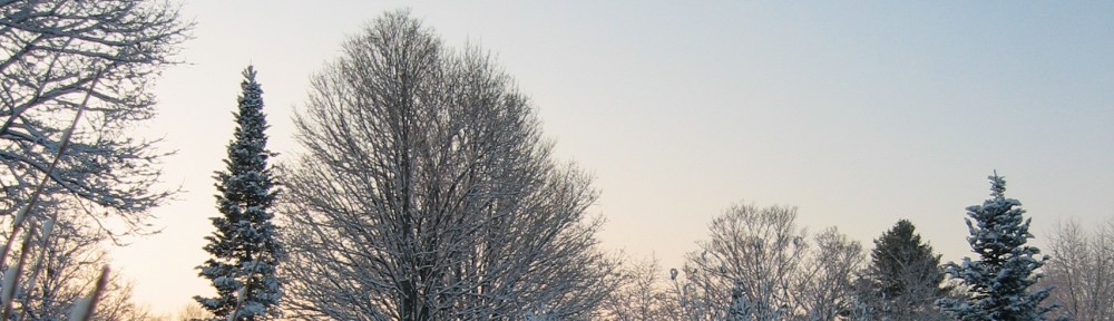 Snowflake Report